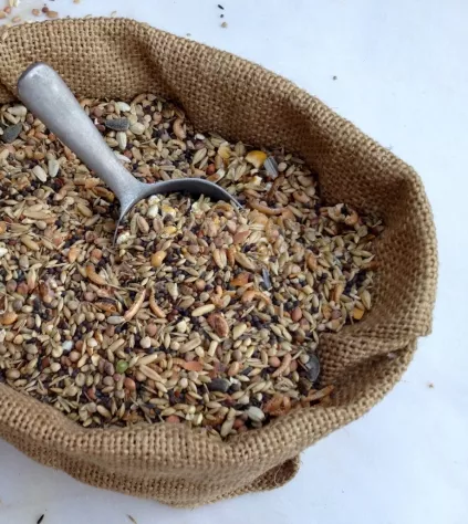 chlorek choliny paszowy