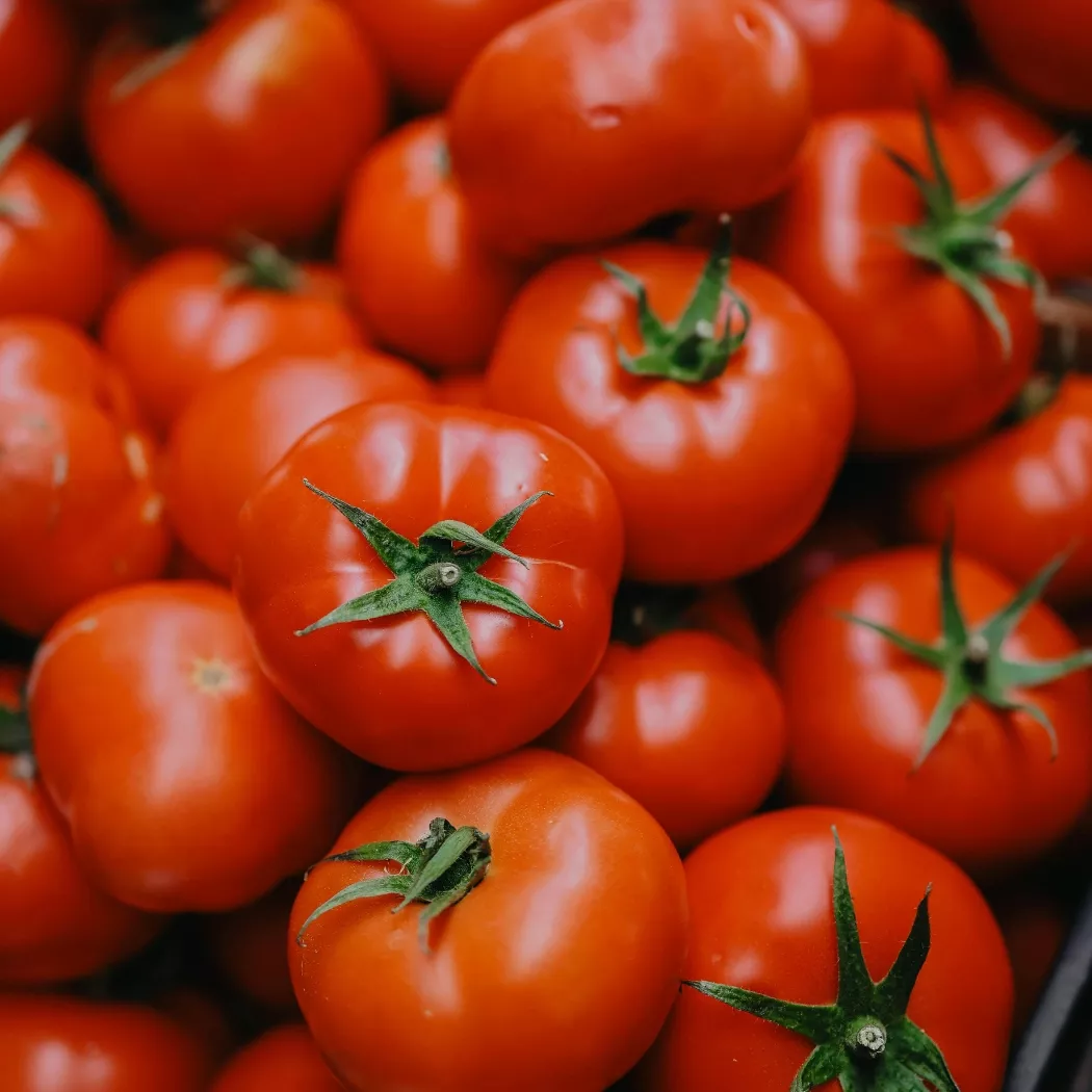 saletra vápenatá distributor