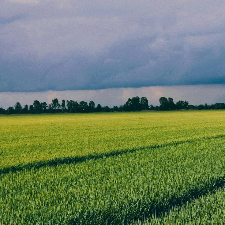 čpavková voda 25% distributor